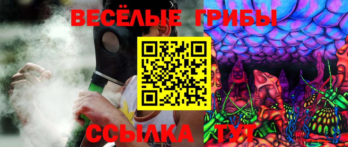 Псилоцибиновые грибы Magic Shrooms Рубцовск