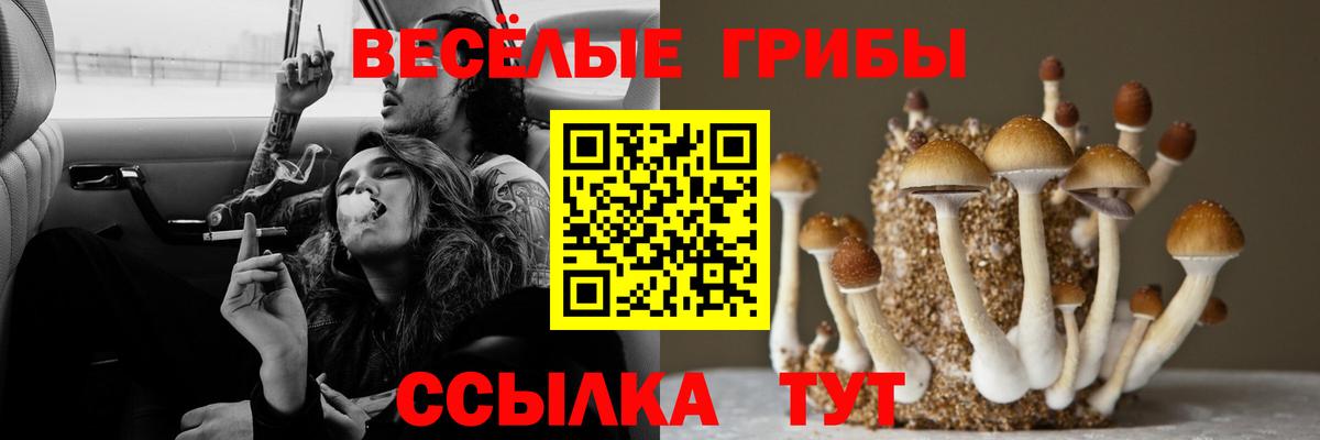 Галлюциногенные грибы мицелий  Вход с VPN  Рубцовск 
